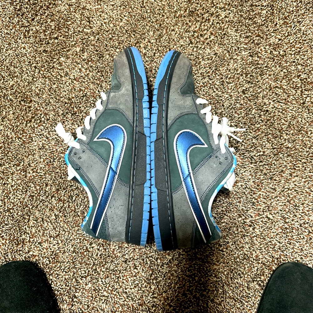 Nike sb dunk